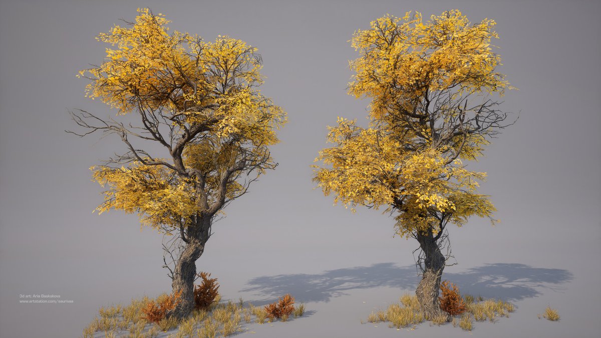 80Level's tweet photo. Aria Baskakova provides a comprehensive tutorial on sculpting and texturing vegetation using ZBrush, Substance 3D Painter, and SpeedTree, detailing in setting up leaves and branches atlases and rendering in Unreal Engine 5.2.

Read the tutorial: https://t.co/WHI6UMSYWZ