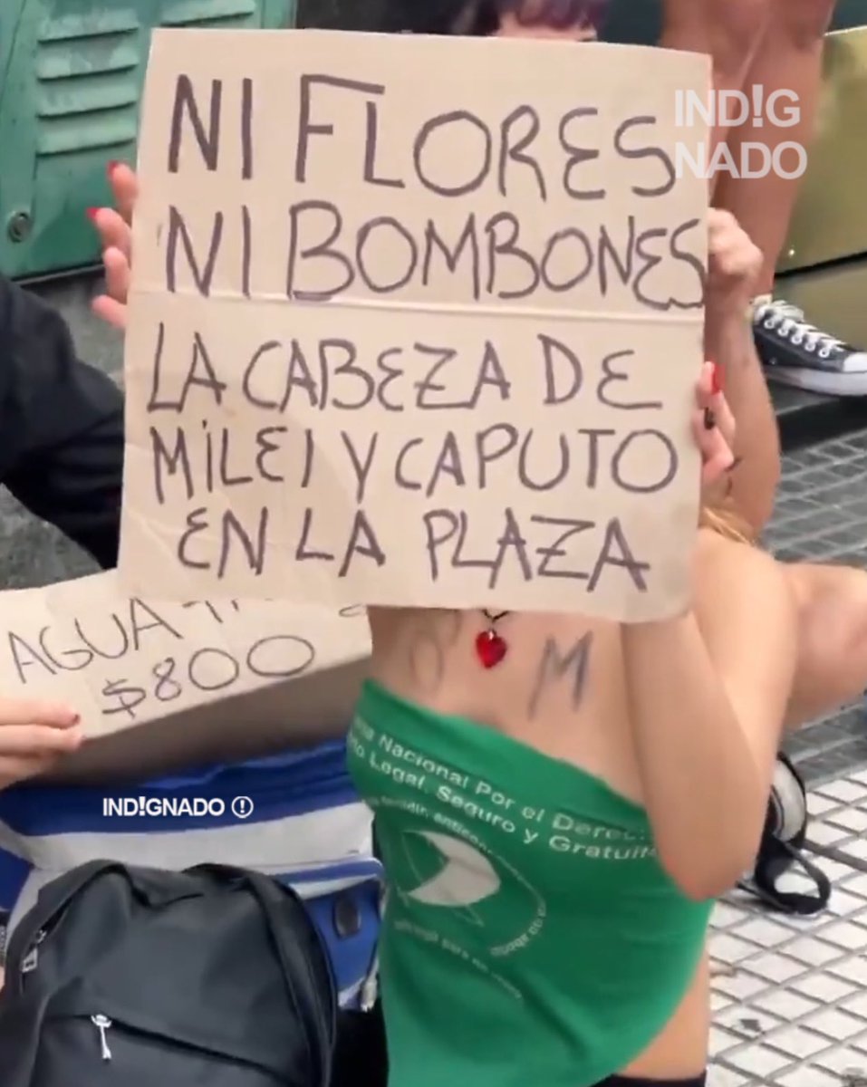 El Pelado Trebucq tweet media