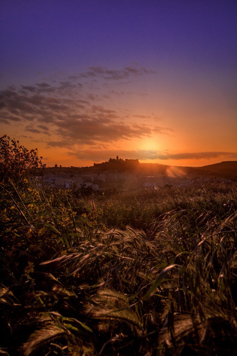 VisitGozo's tweet photo. Autumn sunsets never looked better... ๐
Stunning views of the Citadel going into golden hour. Who else loves chasing the sun in Gozo? โ๏ธ
Find out more: https://t.co/Sjprjz21kW
#gozo #gozomalta #gozoisland #visitgozo #gozoholiday #sunsetviews #gozosunset #chasingsunsets https://t.co/shrAVOHyLI