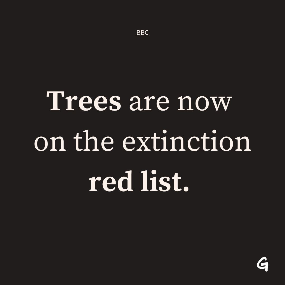Greenpeace International tweet media