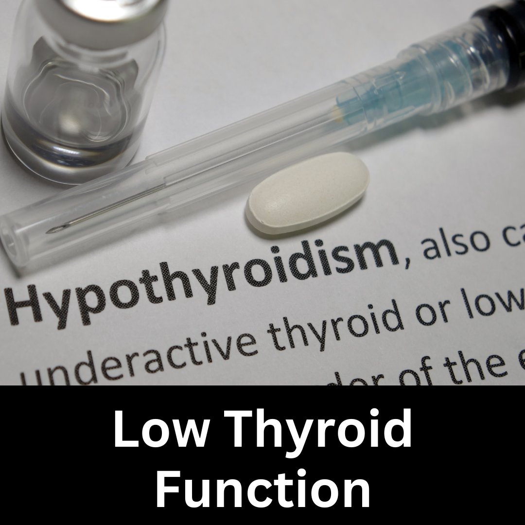 Too many with hypothyroidism resort to only taking:

•Synthroid
•Armour Thyroid
•Levoxyl
•Tirosint
•Levothyroxine

They don’t address the underlying root cause of their low functioning thyroid.

THREAD