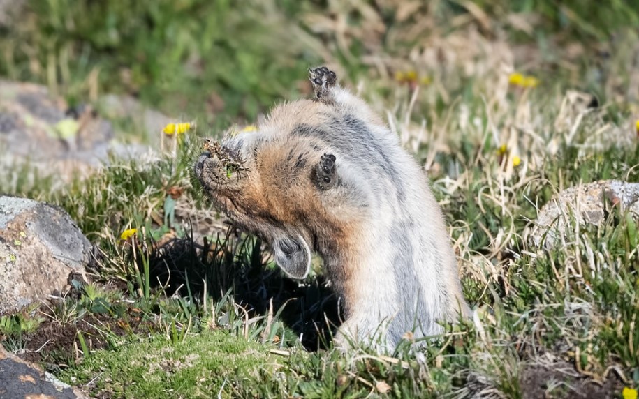 🎶Whoah! I feeeeel GOOD! nah nah nah nahnahnah. 
I knew that I would now -- ha! 
So good-- SO GOOD! 🎶