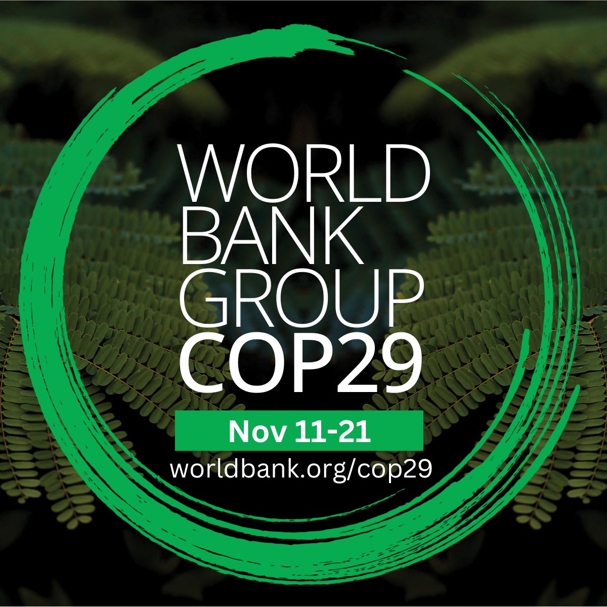 WorldBankGroup's tweet photo. Ready for #COP29? 
Check out our full schedule of events LIVE from Azerbaijan, mark your calendars and join us, from Nov 11-21: https://t.co/CtwJeqUBZL https://t.co/YInxqeenip https://t.co/spuk6858rl
