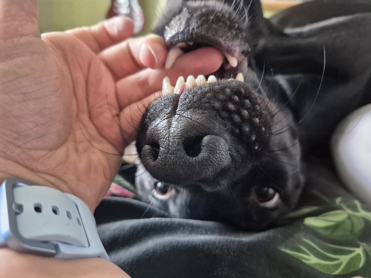 Amy W Schwartz tweet media