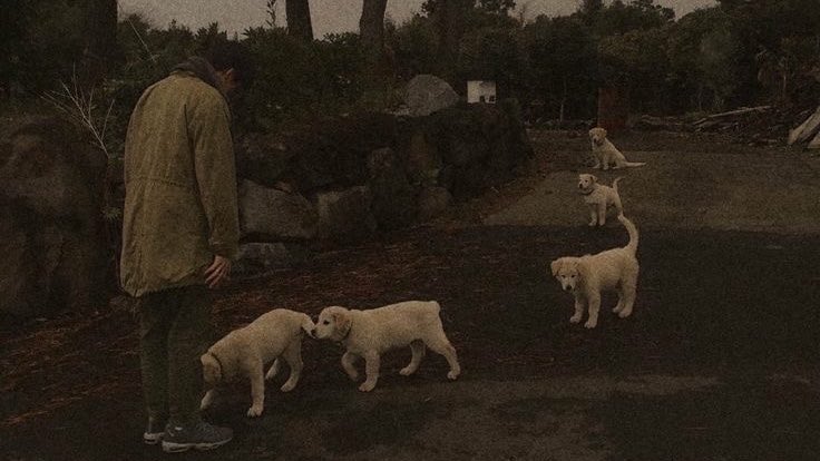 Andrew Hart. tweet media