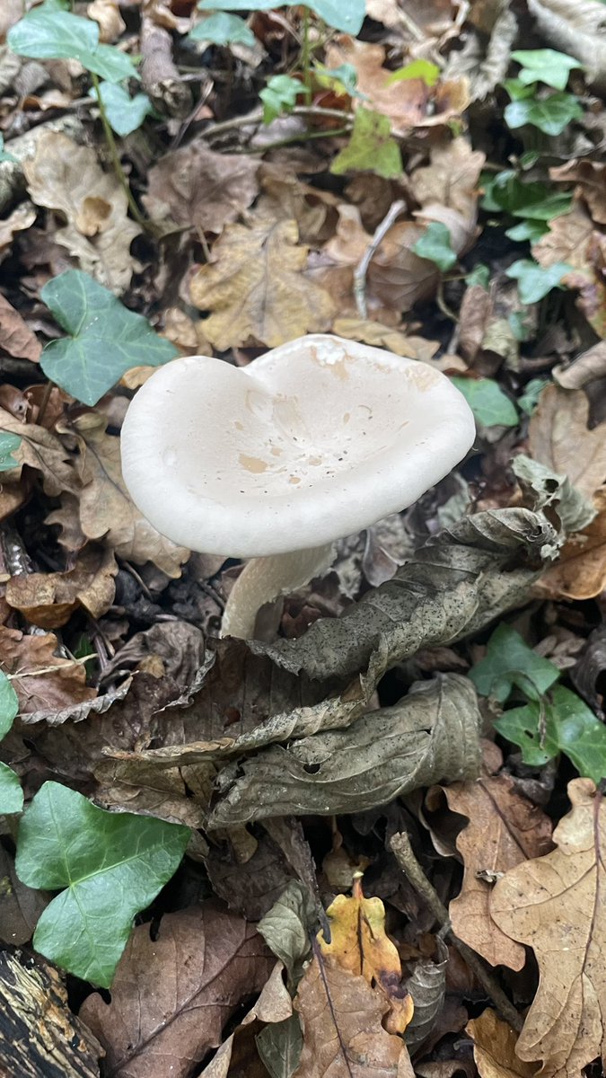 Andy Butterfield tweet media