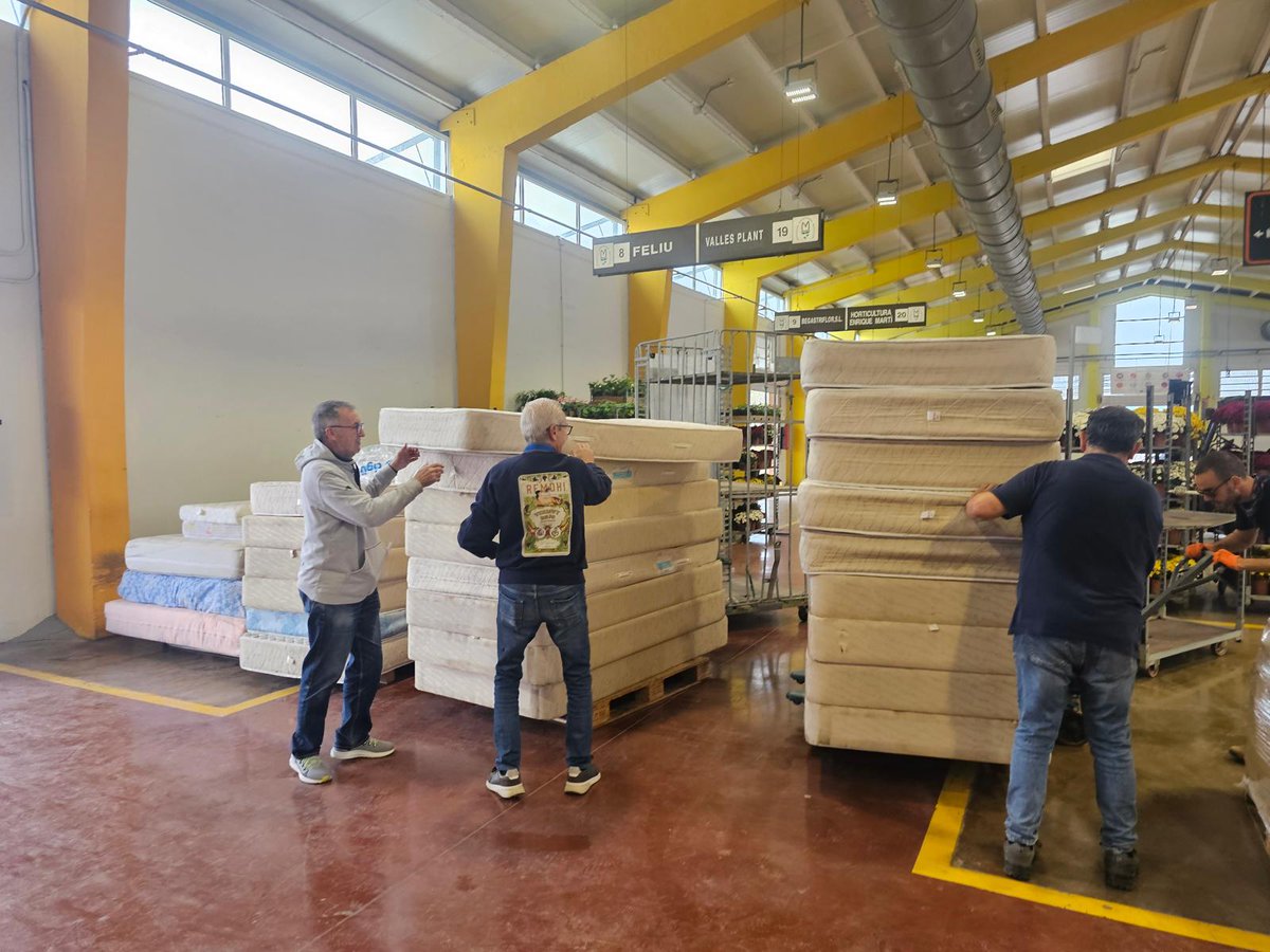 Ajuntament València (@ajuntamentvlc) on Twitter photo 🛒<a href="/Mercavalencia1/">Mercavalència, S.A.</a> ha arreplegat des d'este dissabte 150 tones de productes bàsics donats de tot #Espanya, per donar suport a les zones afectades per la #DANA.
Ja s'han distribuït 60 tones i, fins que s'allibere espai, el centre agroalimentari no pot acceptar més material. 🛒<a href="/Mercavalencia1/">Mercavalència, S.A.</a> ha arreplegat des d'este dissabte 150 tones de productes bàsics donats de tot #Espanya, per donar suport a les zones afectades per la #DANA.
Ja s'han distribuït 60 tones i, fins que s'allibere espai, el centre agroalimentari no pot acceptar més material.