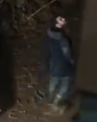 FonsiLoaiza's tweet photo. ¿Algo qué decir, @gisbert_ruben @navedelmisterio? https://t.co/oHEMNn7Ntr