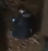 FonsiLoaiza's tweet photo. ¿Algo qué decir, @gisbert_ruben @navedelmisterio? https://t.co/oHEMNn7Ntr