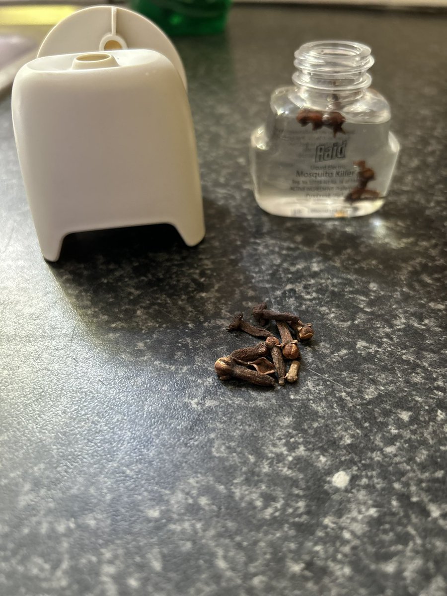 iNdlovukaziSib's tweet photo. @enhle_ngubeni Thatha lento 🫴🏾 
Cloves and water in an empty repellant diffuser.  🔌 https://t.co/9DpAqMKLCj