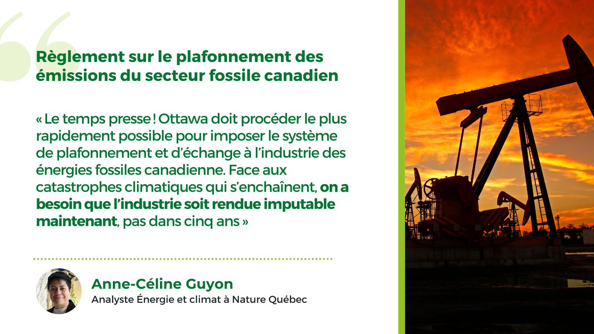 Nature Québec tweet media