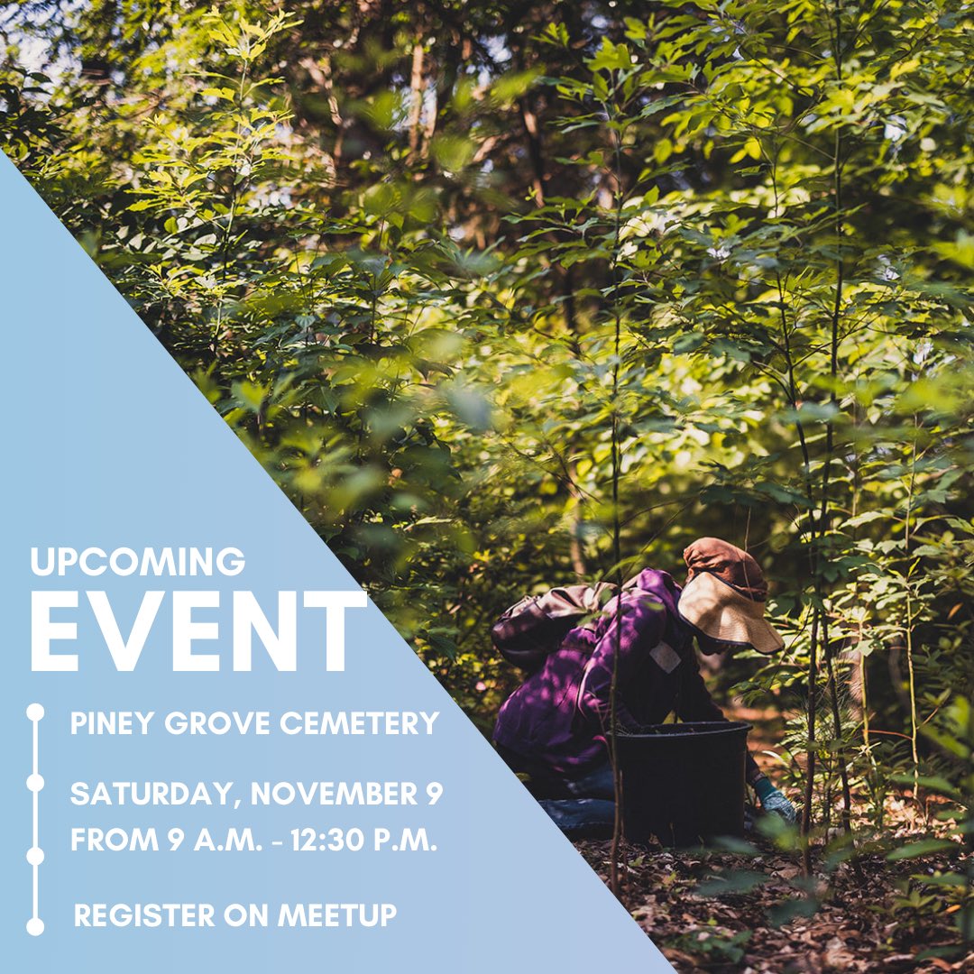 CommunityBucket tweet media