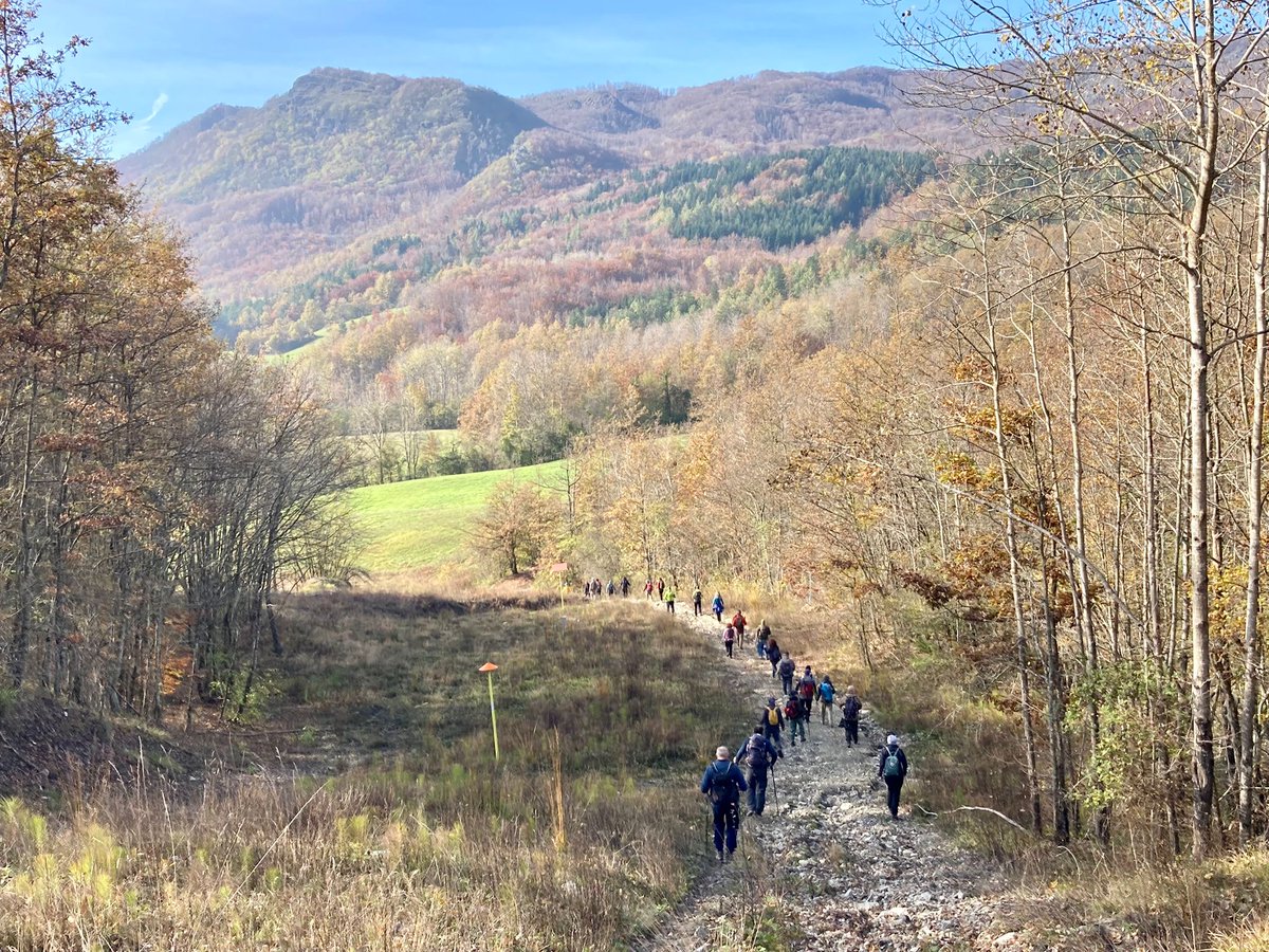 3-12-2024: #escursione per la valorizzazione dei #geositi <a href="/RegioneER/">Regione Emilia-Romagna</a> al Monte Lama (#Bardi, PR)