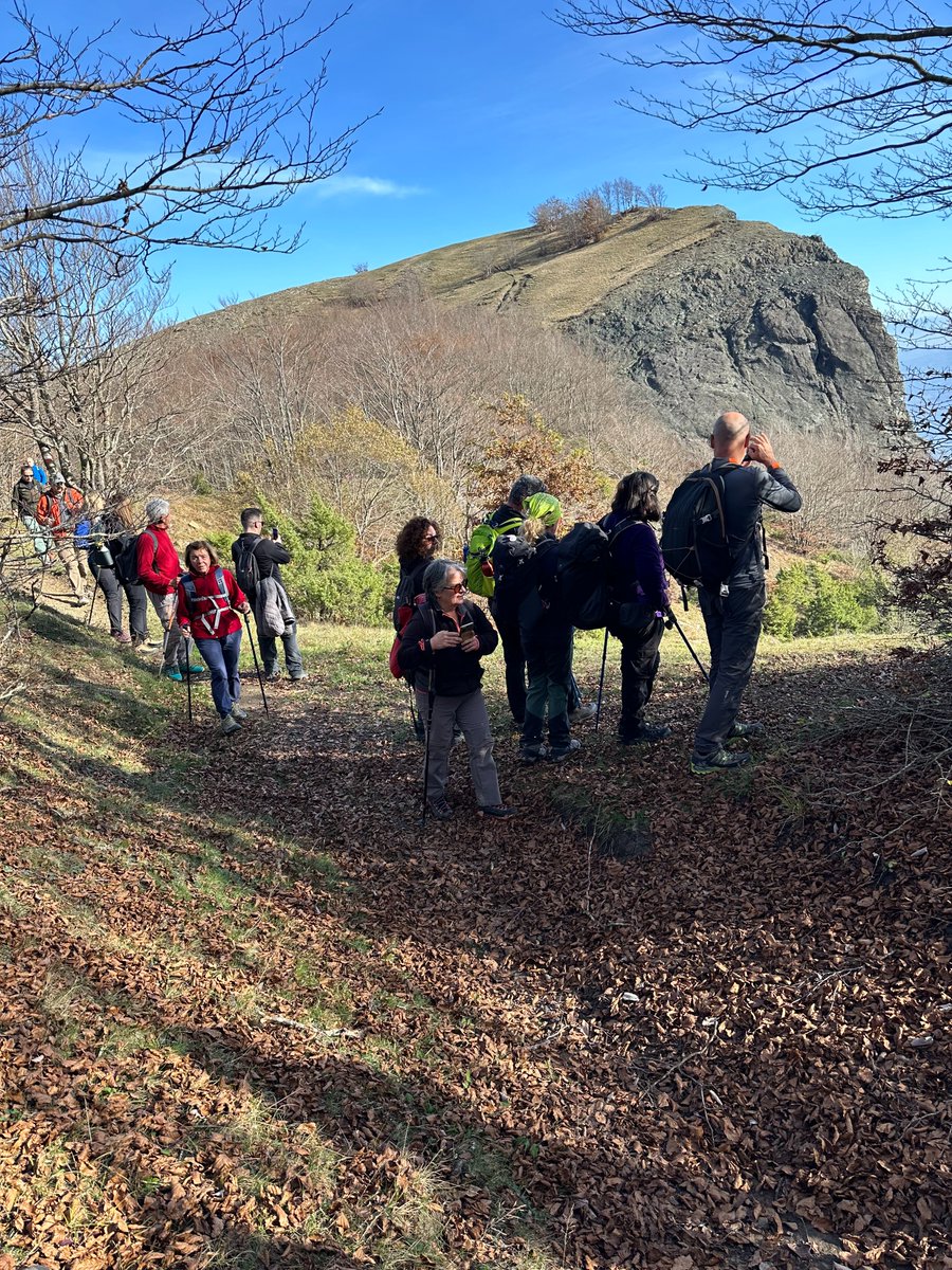 davide_e_galli's tweet photo. 3-12-2024: #escursione per la valorizzazione dei #geositi @RegioneER al Monte Lama (#Bardi, PR) https://t.co/MwwfLjsKgz