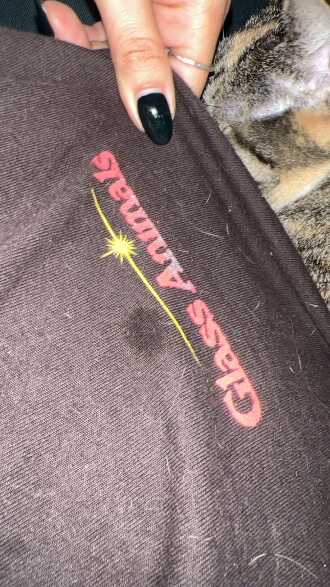 MichelleAnn1020's tweet photo. Hello! @GlassAnimals I bought a shirt back at your Chicago tour date and unfortunately the screen print is flaking off even though I only hang dry it. Is there any way to get a replacement? 

*sorry for the water spot my car was drooling on me https://t.co/GqFrwFbsMH