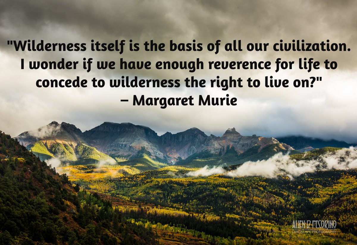 America is blessed with a 112 million acre National Wilderness Preservation System.

Our mission is to #KeepItWild!

If you support our mission, please join us!

WildernessWatch.org