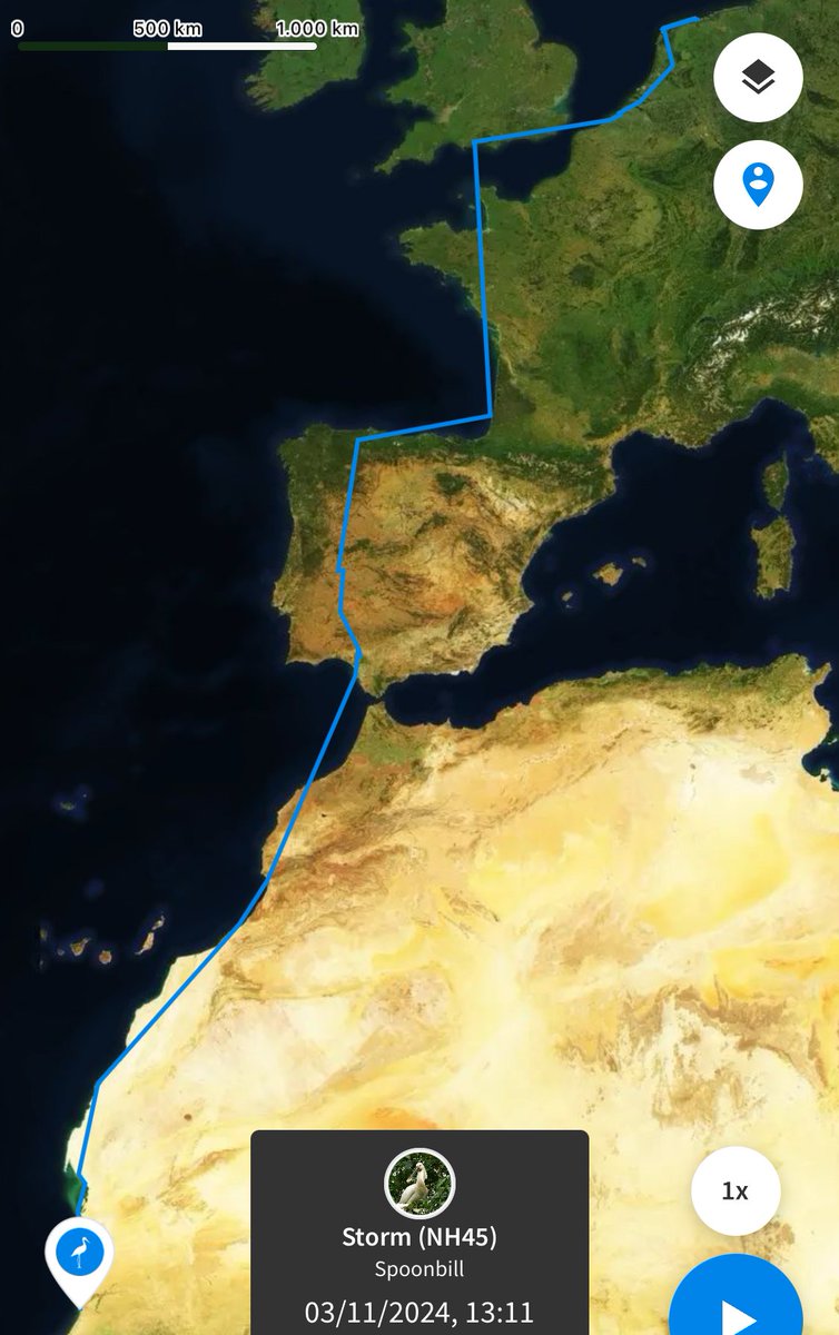 Global Flyway Network tweet media