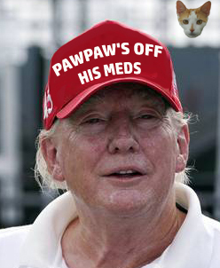 Hondo ☮️ 💔🌻🇺🇦🌻 tweet media