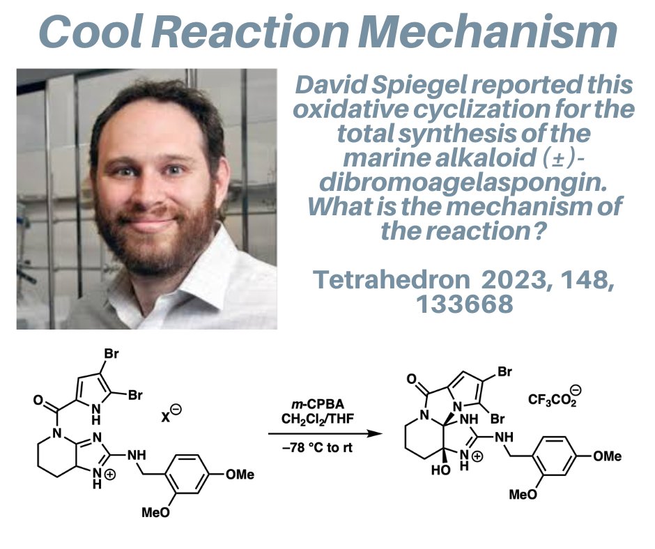 TambarLab tweet media