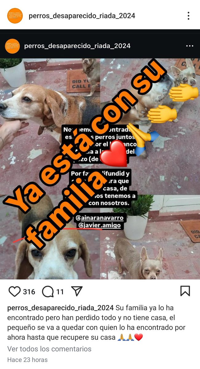 #DANA #PerrosEncontrados ⚠️ACTUALIZACIÓN ⚠️Los perritos ya están con su familia pero esta lo ha perdido todo, el perrito pequeño quedará de momento con quien lo rescató pero una persona se ha ofrecido a que los dos estén juntitos con ella hasta que la familia tenga su casa
