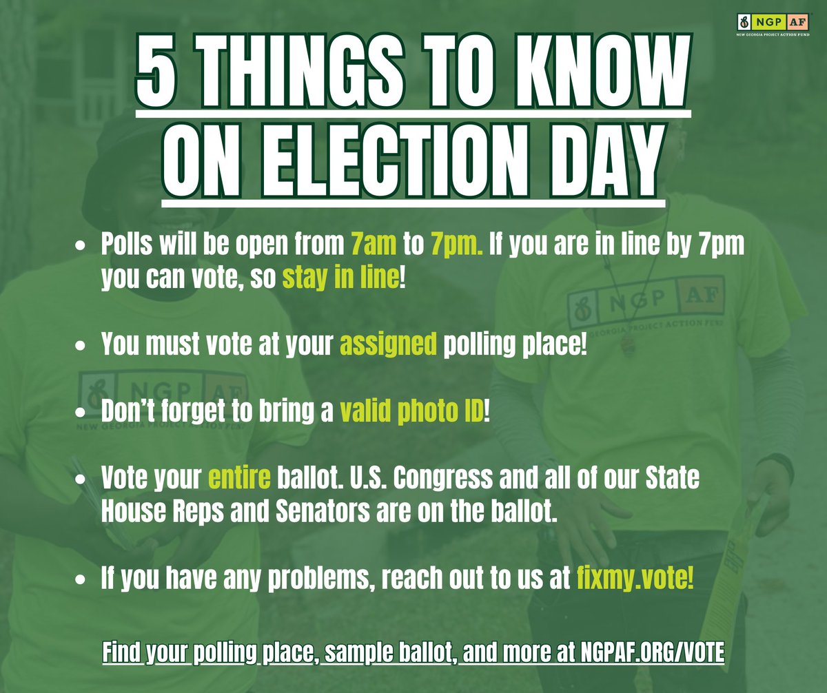 New Georgia Project Action Fund tweet media