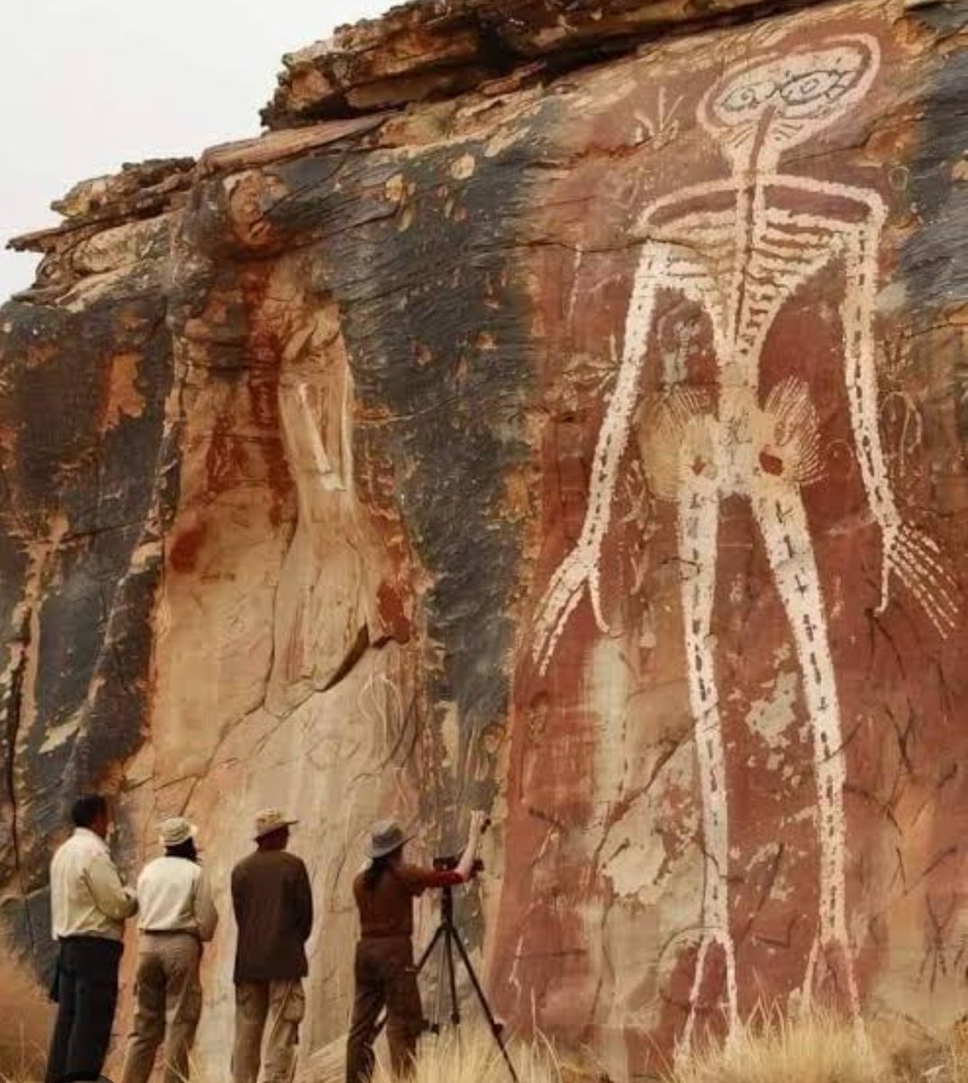 Teddy Bear🧸 tweet media