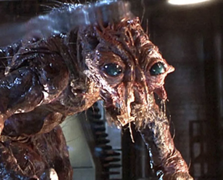 DiscussingFilm's tweet image. A film set in David Cronenberg’s ‘THE FLY’ universe is in the works.

Nikyatu Jusu is developing the film.

(Source: Deadline)