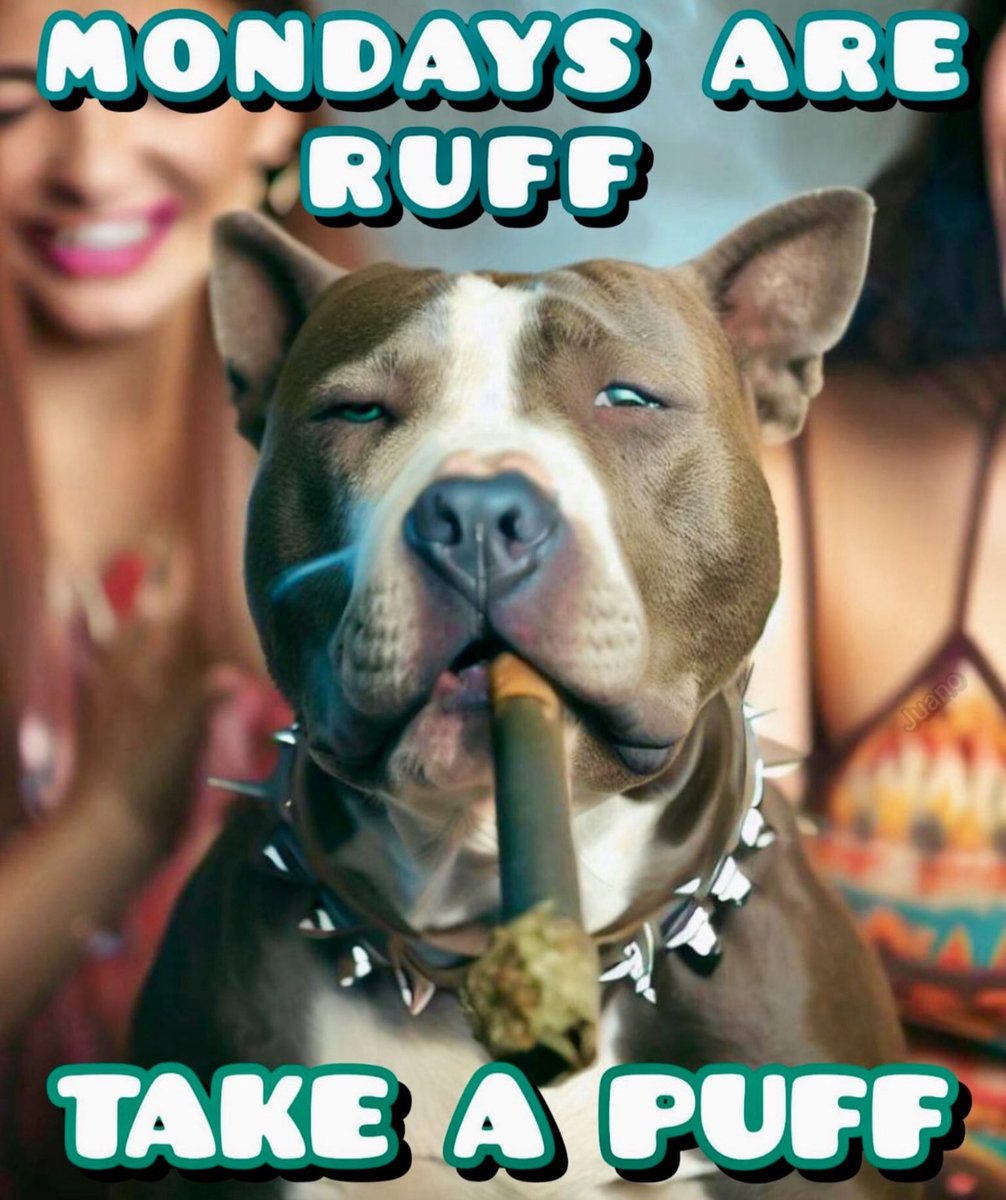 #Happy420 #Mmemberville #CannabisActivism #FlowerPower #CannabisCommunity  #AiArtCommunity #AiArt #StonerFam #StonerArt #StonerTunes #WeedMob #Toronto 🪴😜🪴 Happy 420! ⚡️ Follow 🪴 “Oh Cannabis Newz y Viewz!” 🪴 Online ❤️‍🔥 <a href="/davidchiarelli/">David Chiarelli</a> 💨💨💨💨💨