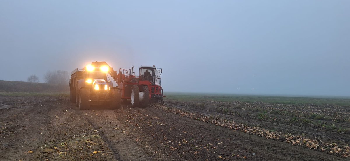 Ivo Haartsen tweet media