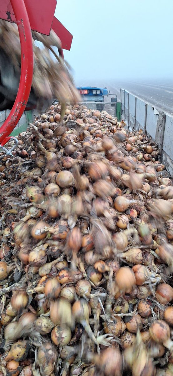 Ivo Haartsen tweet media