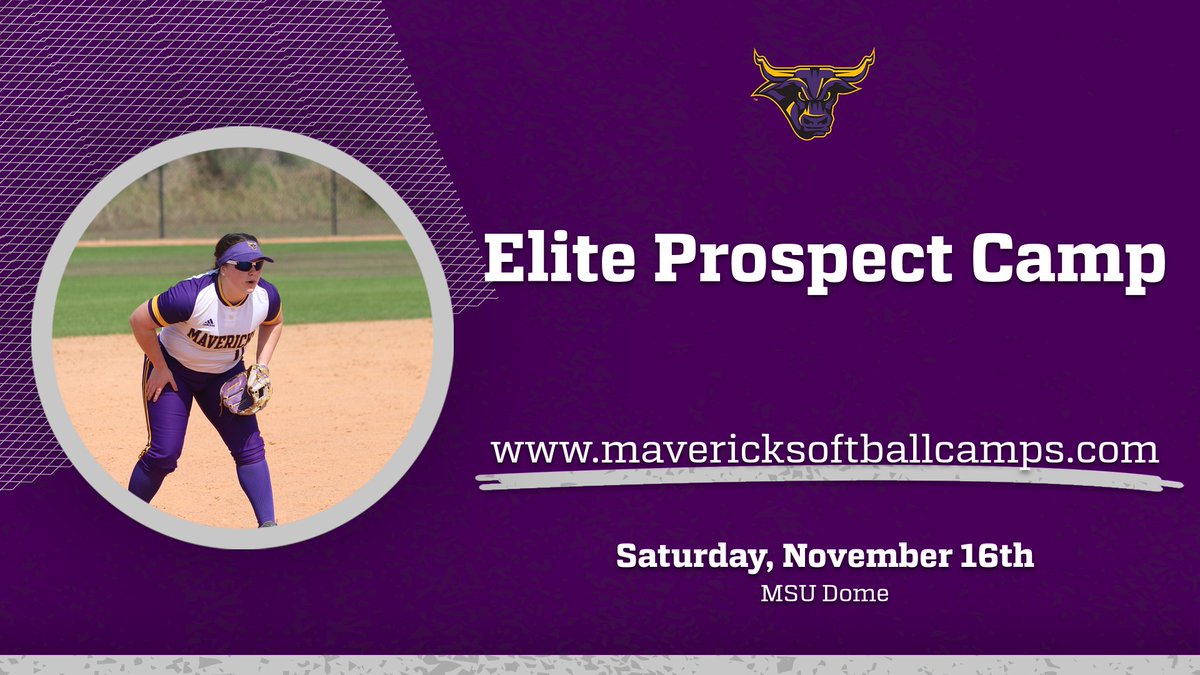 MSU Softball (@minnstsoftball) on Twitter photo 