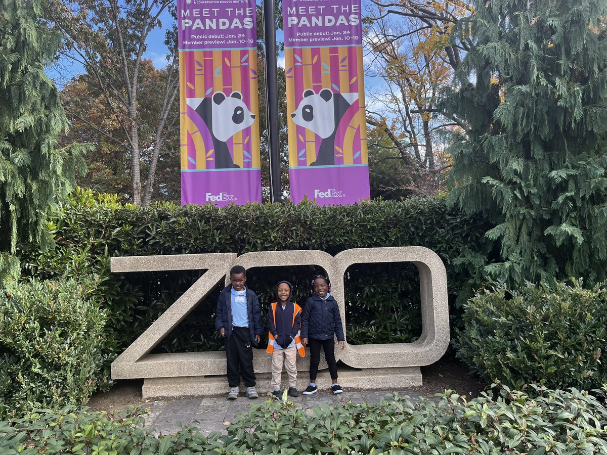 MrsWashington_'s tweet photo. Students enjoyed an engaging day of  learning on our School-wide Field Trip Day @MontpelierES ! 🚌PK-2nd graders visited the  @NationalZoo and 3rd - 5th graders went to Museum of Natural History @NMNH ! ✨😊 https://t.co/jke8s5DE7M