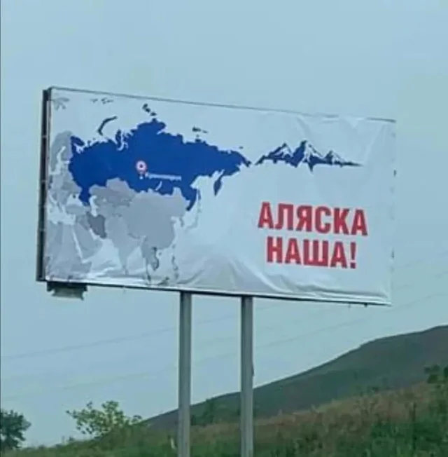 david D. tweet media