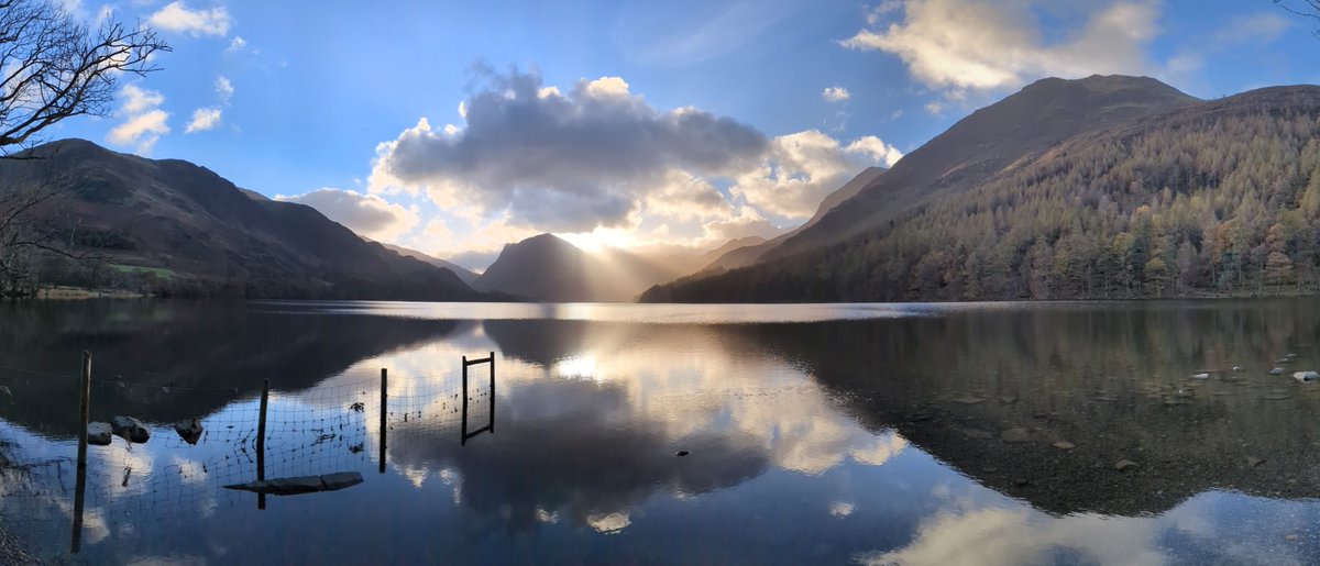 Prof Elizabeth Redmond - food safety research tweet media