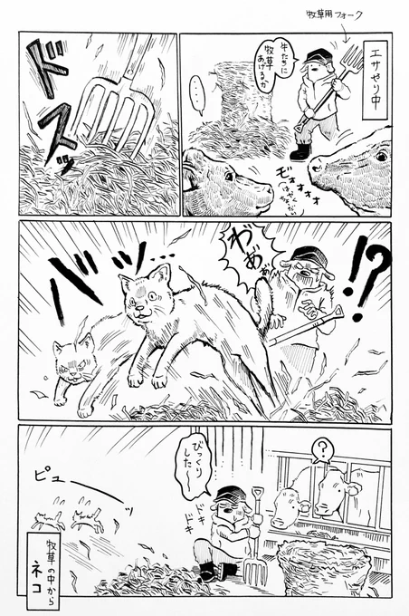 『びっくり猫』🐈🌱

勘弁してくれ… 