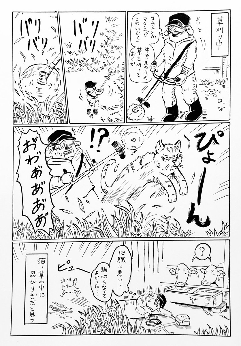 『びっくり猫』🐈🌱

勘弁してくれ… 