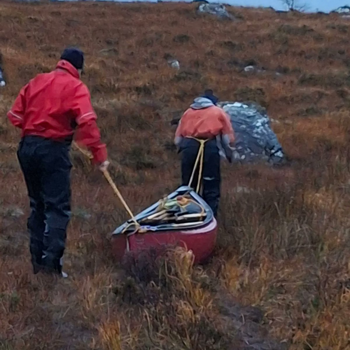 Mal & MarionTabb tweet media