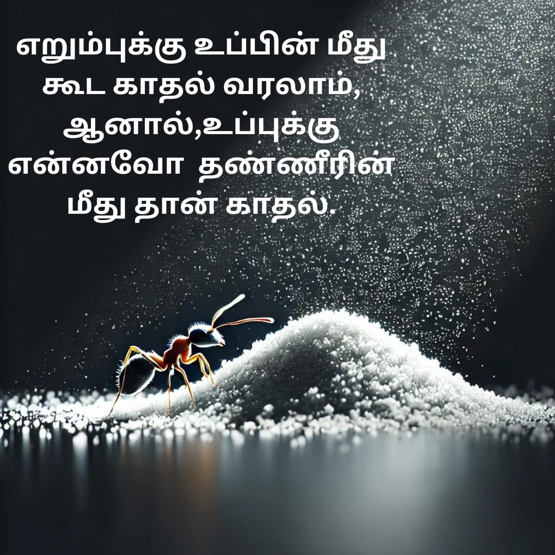 PulavanR2005's tweet photo. தினம் ஒரு கவிதை - 2 
அதன்‌ மீது தான் காதல் - 1 
#தமிழ் #காதல் #கவிதைகள் #tamilpoetry #tamil #poetry #love 
#lovefailure #LiteraturePosts #Peace 
#Heartfulness https://t.co/obDa8k5LGI