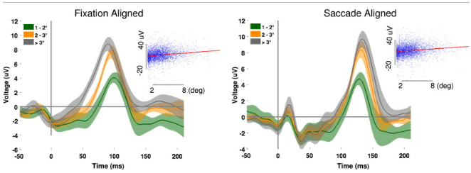 Matias Ison tweet media