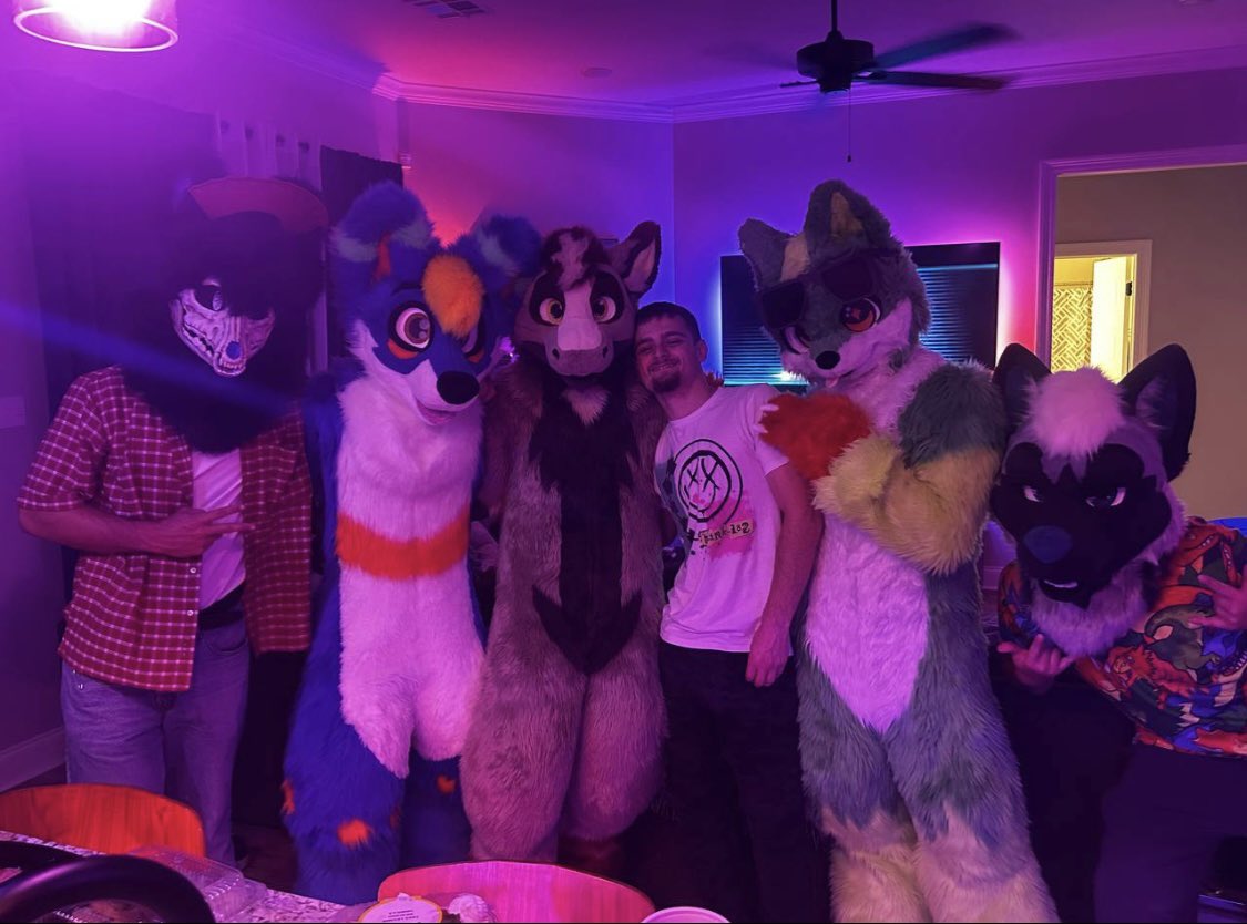 🐾Softy🐾 tweet media