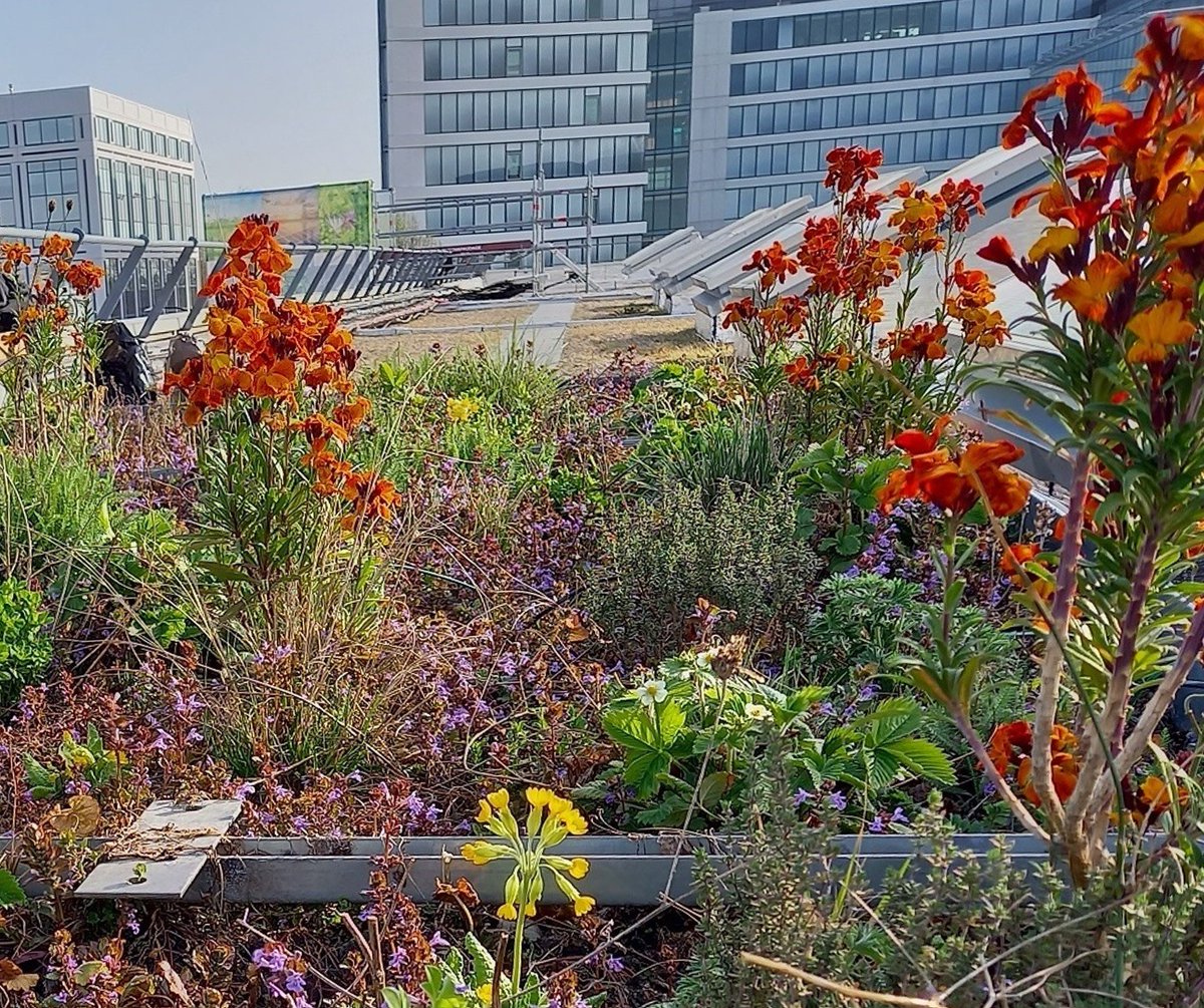 iEES Paris (@ieesparis) on Twitter photo 🖊️Inscriptions🖊️
Journée d’ #écologieurbaine :
« La #biodiversité, une composante de l’aménagement #urbain »
le 19 décembre au Campus P&M Curie <a href="/Sorbonne_Univ_/">Sorbonne Université</a>
iees-paris.fr/evenements-sem… 🖊️Inscriptions🖊️
Journée d’ #écologieurbaine :
« La #biodiversité, une composante de l’aménagement #urbain »
le 19 décembre au Campus P&M Curie <a href="/Sorbonne_Univ_/">Sorbonne Université</a>
iees-paris.fr/evenements-sem…
