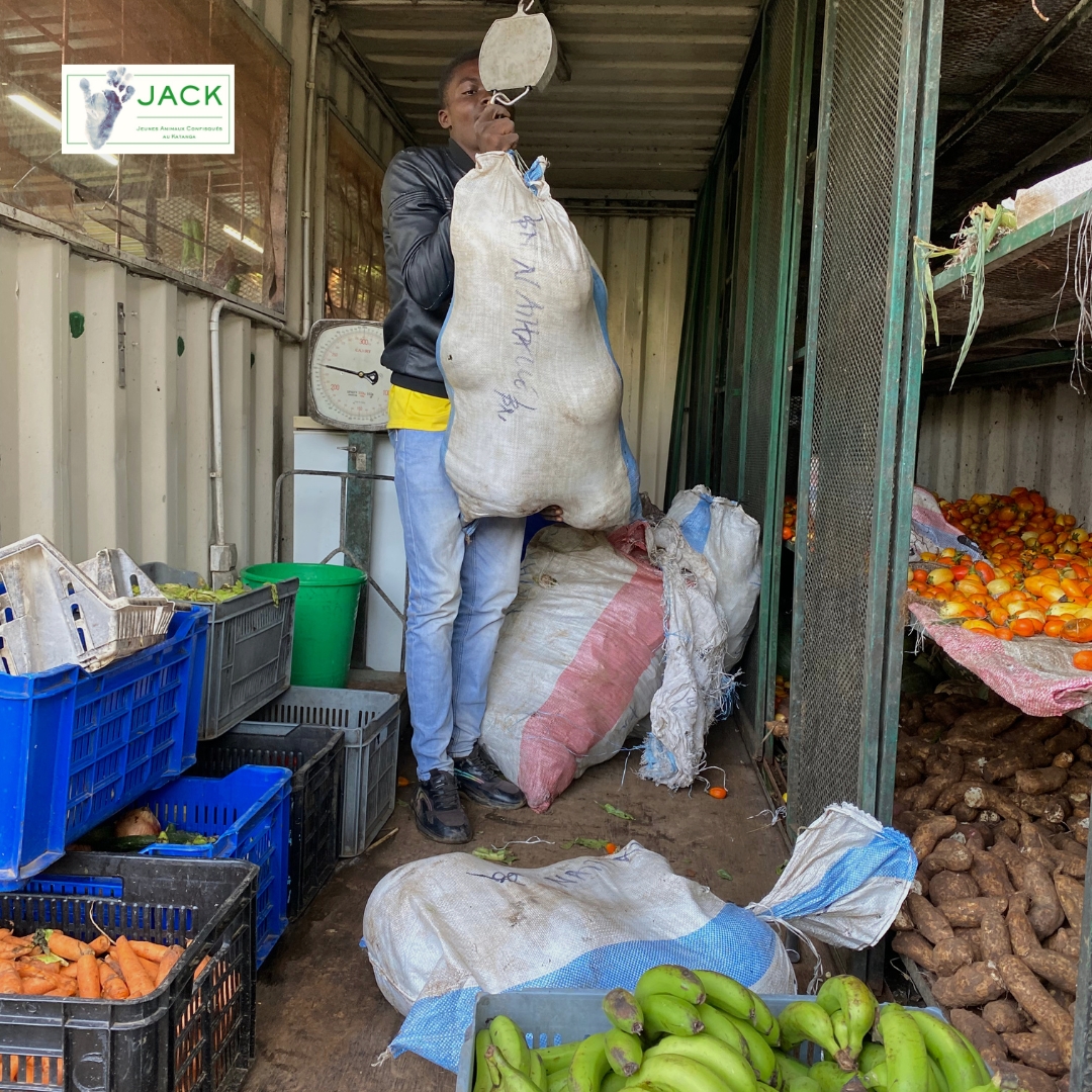 JACK Primate Sanctuary tweet media