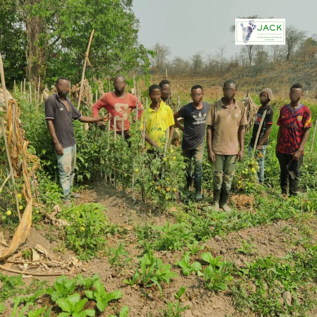 🌿 Chez J.A.C.K, nous protégeons les primates tout en soutenant les communautés locales ! 🐒💚

Grâce à nos achats de produits bio, nous contribuons à l’économie locale et sensibilisons à la conservation. Ensemble, construisons un avenir durable ! 🌍❤️ #jackprimates #impact