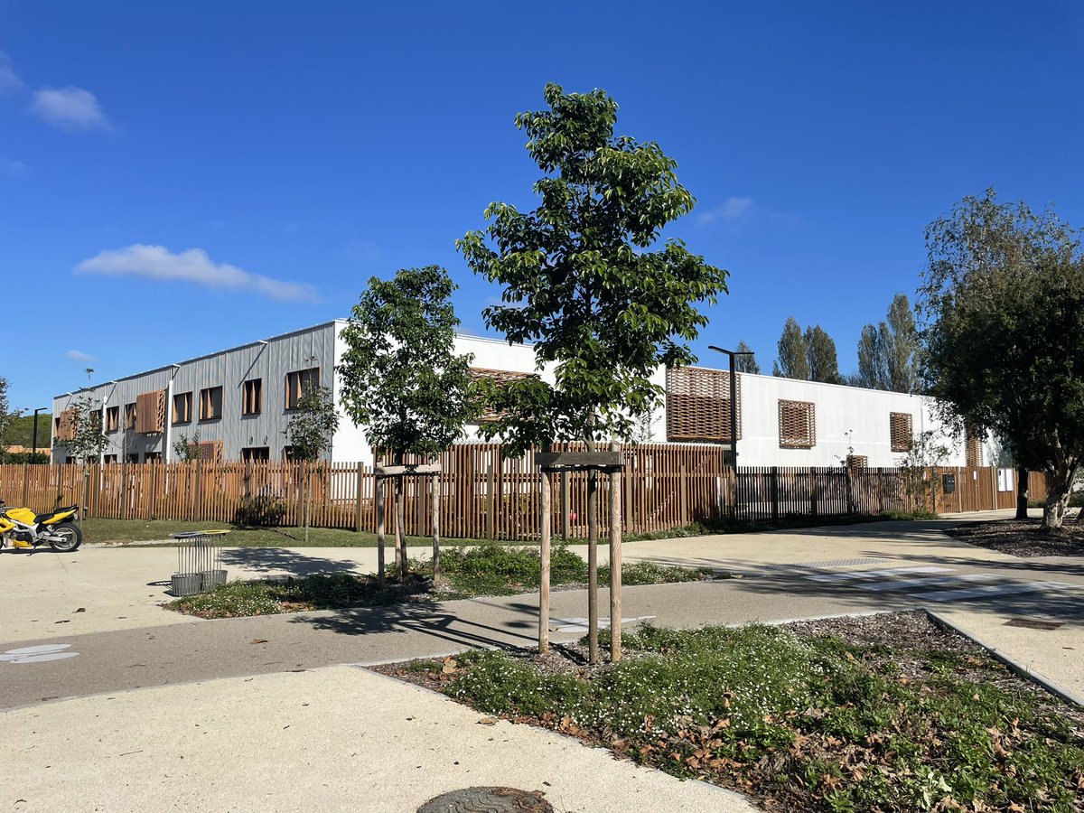 Annabelle Viollet tweet media