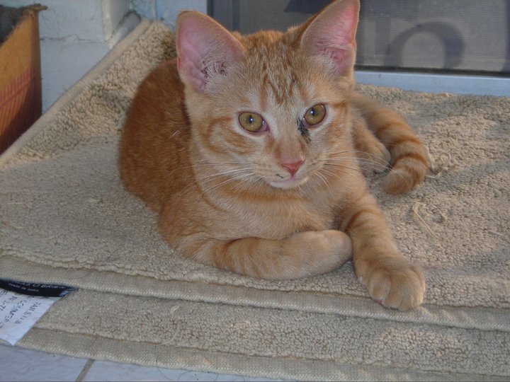 Marjory E. Leposky tweet media