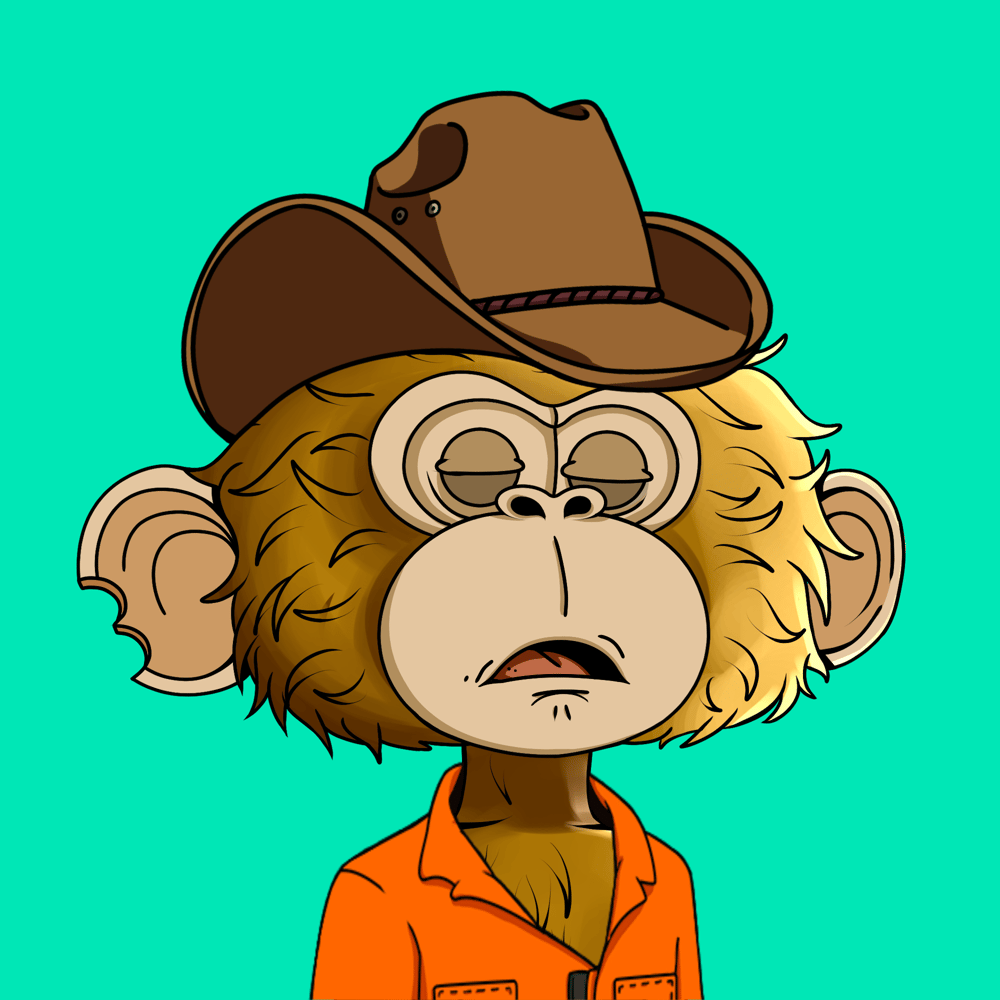 MookieNFT's tweet photo. ApeChain is bringing the hype back to NFTs!🦍🔥

ApeChain is the funnest chain in crypto!

Let's have fun together! https://t.co/gmJoG9uB9y