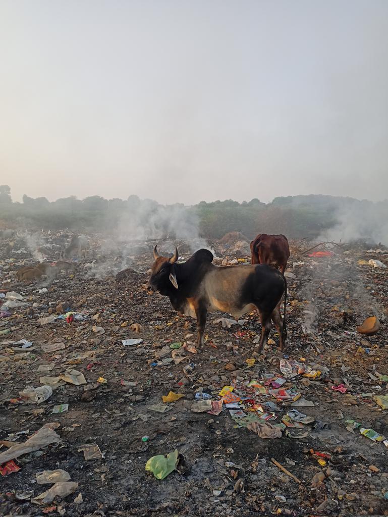 gogarbage_in's tweet photo. स्वच्छता ही सेवा 2024 और हम शहर के जागरूक नागरिक 
अपने ही शहर को स्वच्छ नहीं रख सकते 
स्वच्छ भारत मिशन 
डंपिंग यार्ड सोजत सि
हम तैयार हैं इसको स्वच्छ बनाने में GOGARBAGE 
@SwachhBharatGov @SwachSurvekshan @startupindia @istart_Raj @deesoo_in @DcDmPali https://t.co/cbsR2B9y4K