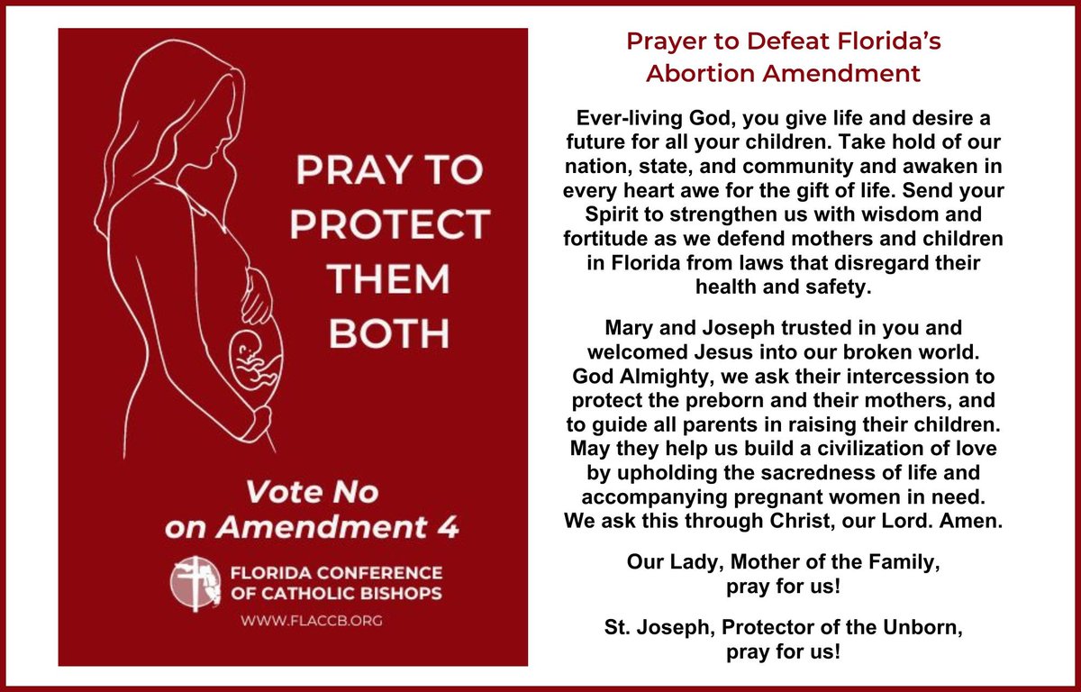 Day 8: Novena to defeat pro-abortion Amendment 4.

"Ever-living God, you give life and desire a future for all your children. Take hold of our nation, state, and community and awaken in every heart awe for the gift of life. Send your Spirit to strengthen us with wisdom and