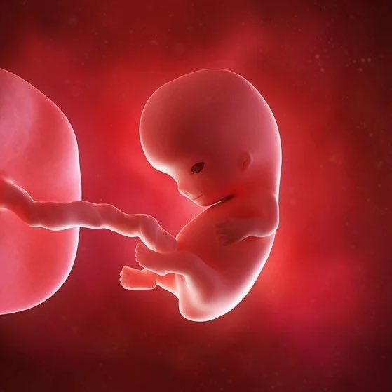 i make beats ✞ tweet media