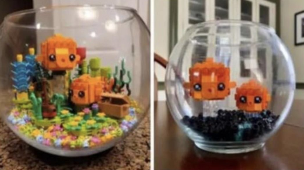 womenshumor's tweet photo. Maybe a lego fish tank is what's missing in my life. https://t.co/8wwXR7rPat